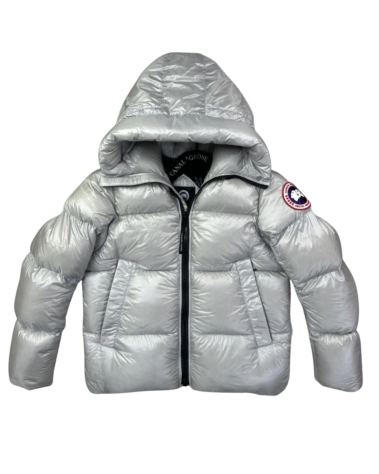 Canada goose shiny puffers