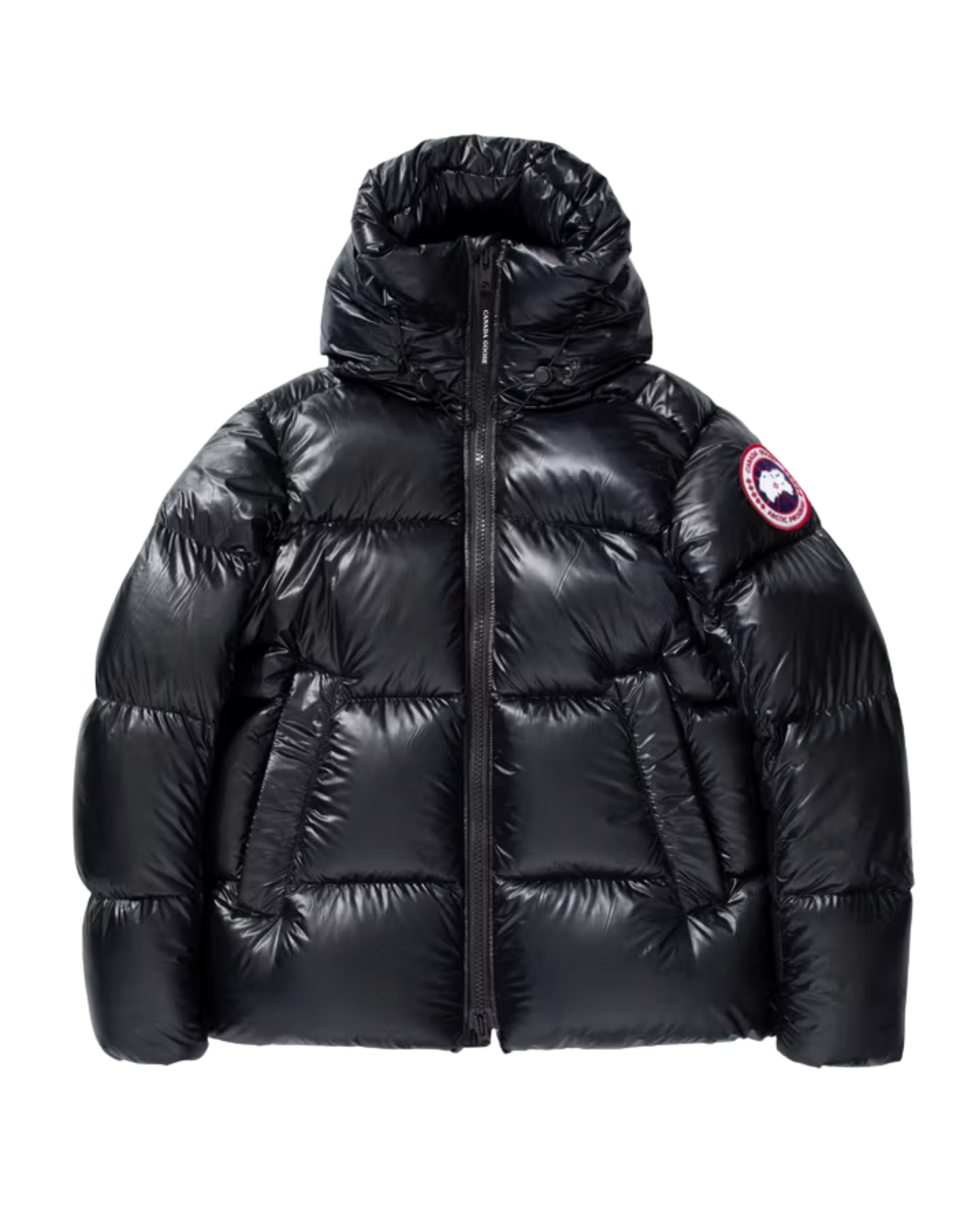 Canada goose shiny puffers